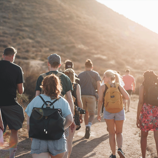 Eine Gruppe von Menschen die durch die Natur wandern. Das Bild ist lichtdurchflutet. Man sieht die Menschen alle von hinten, wie sie einen Weg entlang laufen. Die meisten tragen Rucksäcke.