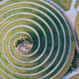 Holacracy